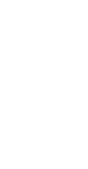 More House Icon
